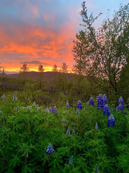 Luxury Cottage Located In The Golden Circle, Mountain View! Льойґарватн Екстер'єр фото